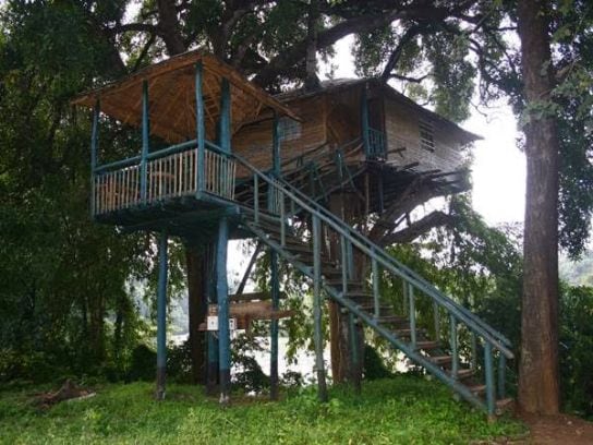 Hornbill River Resort-3